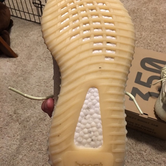 Yeezy 350 v2 butter - Picture 3 of 4